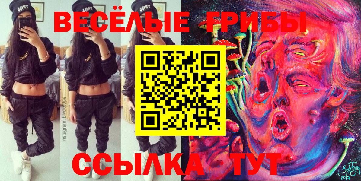 Псилоцибиновые грибы Psilocybine cubensis Жуковский