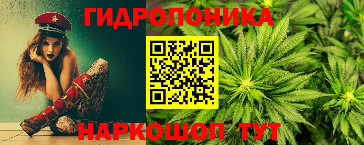 МАРИХУАНА OG Kush Жуковский